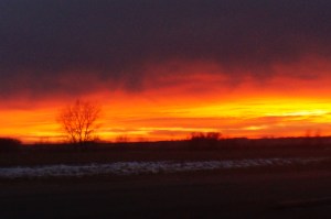 Beautiful sunset by Oakland this evening. Photo Credit/Denise Gilliland, Editor and Chief, Kat Country Hub. 