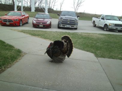 Look who stopped in for a visit at Oakland Heights last week. Photo credit/Nancy Silvey. 