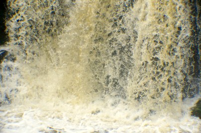 Falls Park is a beautiful place to walk in, picnic in or just simply sit and enjoy the beauty. All photos credit of Denise Gilliland/Editor and Chief, Kat Country Hub.
