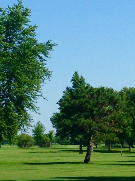 A crop dusting plane is flying in the distance just north of the Oakland Golf Club. Photo Credit/Denise Gilliland, Editor and Chief, Kat Country Hub. 