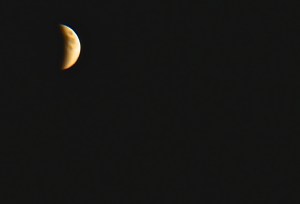 A lunar eclipse and a blood red moon all in one evening was a sight to behold! All photos credit of Denise Gilliland/Editor and Chief, Kat Country Hub.