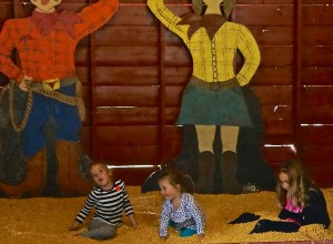 We had a great time at Harvest Moon Pumpkin Patch with our granddaughter Penelope. We also saw many others at the Pumpkin Patch, enjoying a beautiful Autumn evening. 