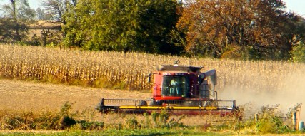 Ron Keogh, along with all the farmers, have been very busy during harvest season, bringing in their crops. Thank a farmer, they work tirelessly to provide us with the food we eat every day. All photos credit of Denise Gilliland, Editor and Chief, Kat Country Hub. 