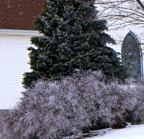 The buses and tree alongside the Methodist Church in Oakland were gorgeous, covered with frost. The frost also was blowing around, creating a beautiful scene. Photo Credit/Denise Gilliland, Editor and Chief, Kat Country Hub. 